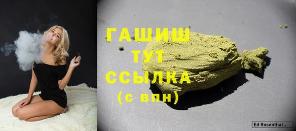 гидра Няндома