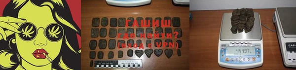 гидра Няндома