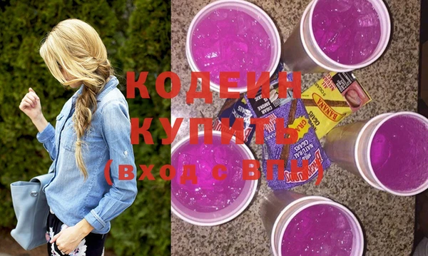 гидра Няндома