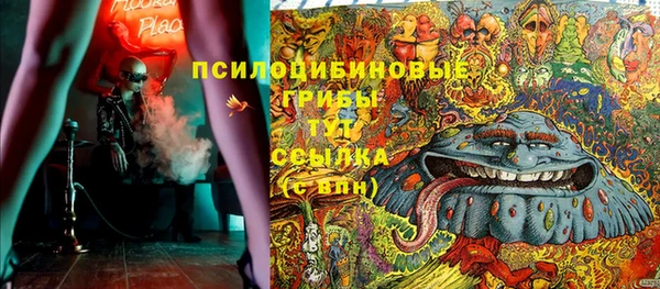 гидра Няндома