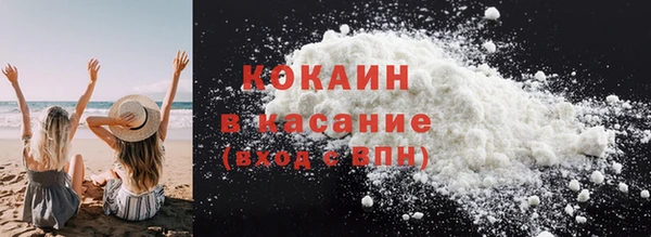 гидра Няндома
