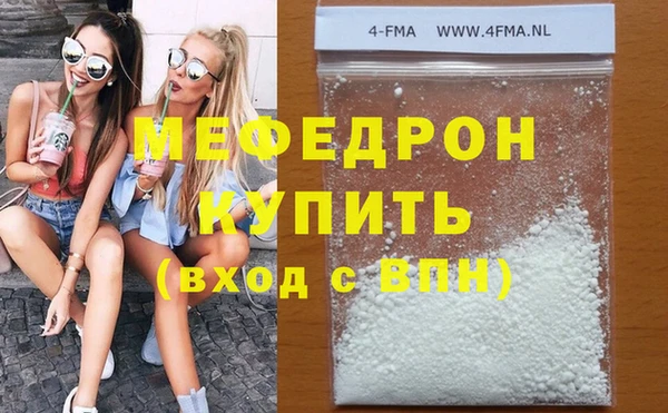 гидра Няндома