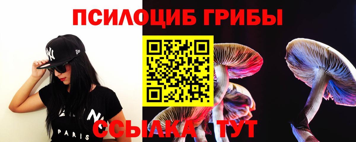 Галлюциногенные грибы MAGIC MUSHROOMS Михайловск